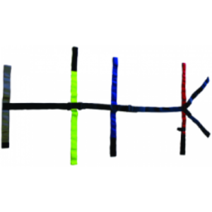 Spine Board Spider Straps