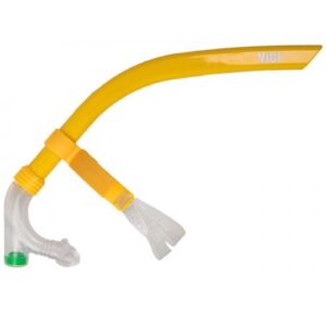 Swimming Front Snorkel